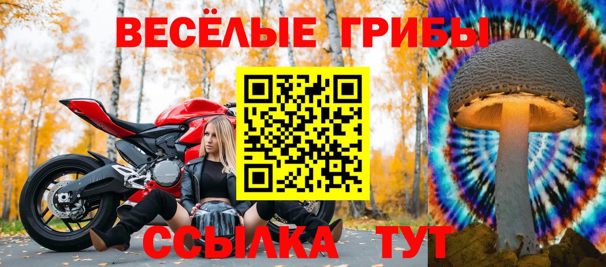 Псилоцибиновые грибы Magic Shrooms  Вход с VPN  Псилоцибиновые грибы мицелий  Луга 