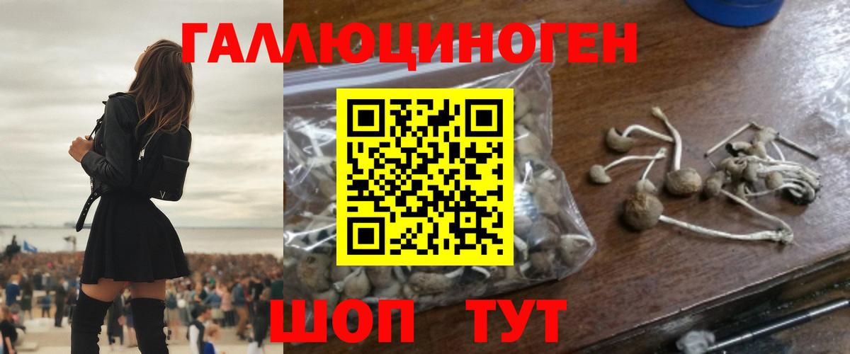 Псилоцибиновые грибы мицелий Луга